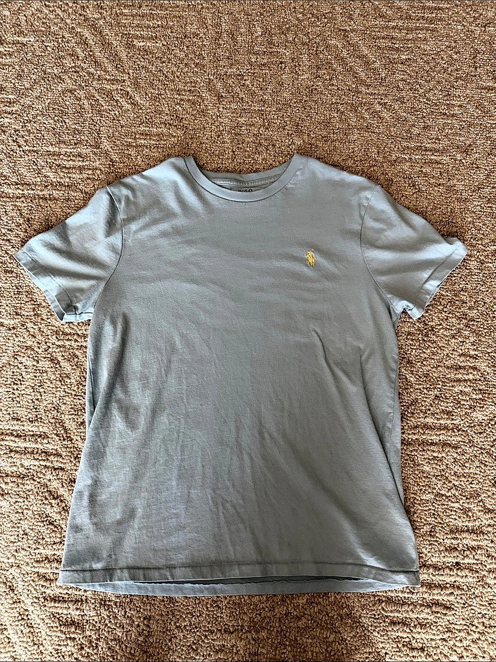 Blue Polo Ralph Lauren Custom Slim Fit Soft Cotton T-Shirt Medium
